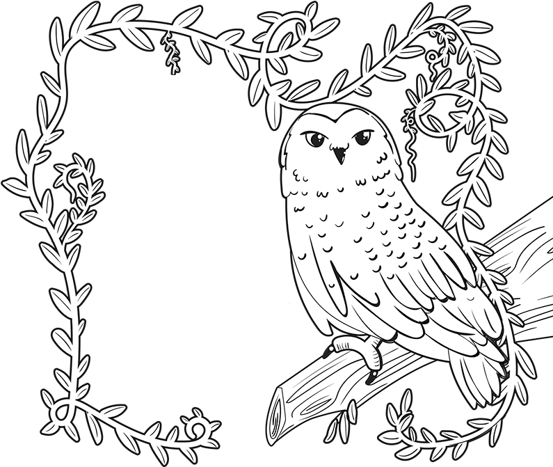 Enchanted Forest Book Fair Clip Art - Enchanted Forest Book Fair Coloring Page (800x681), Png Download