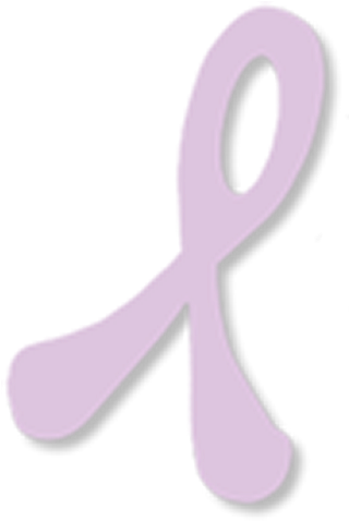 Susan Carver Foundation Donation - Ribbon (510x477), Png Download