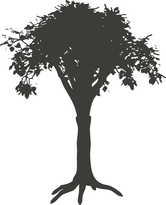 Discover Resources That Make "healthy" Fun - Root Tree Silhouette Png (582x720), Png Download