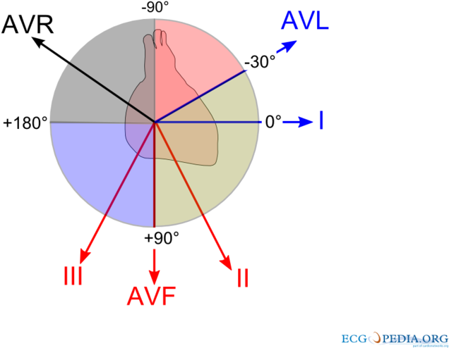 Ecg Vectors - Ecg Heart Axis (800x600), Png Download