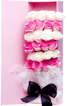 Angel Heart - Macaroon (360x360), Png Download