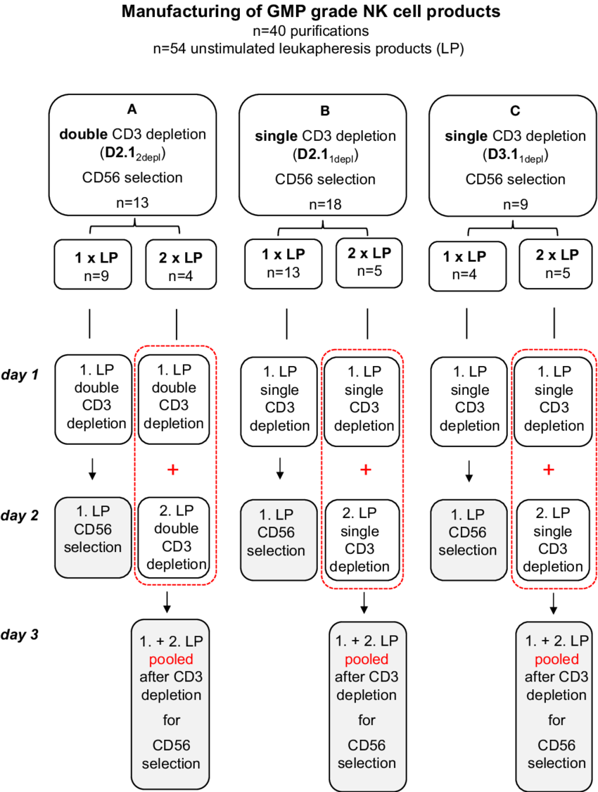 Manufacturing Of Gmp-grade Nk Cell Products - Steps Using Sk Ii Products (850x1125), Png Download