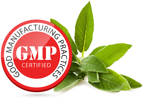 Shape - Decorative Hob Cover Menu (507x346), Png Download