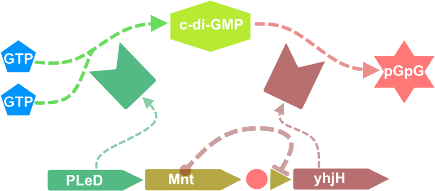 Diagram - Graphic Design (900x396), Png Download