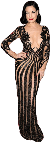 Dita Von Teese Zebra Dress - Vestido A Rayas (484x603), Png Download