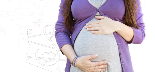 Pregnancy Risk Assessment Monitoring System - Pregnancy (693x230), Png Download