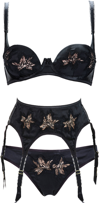 Park Avenue By Dita Von Teese - Lingerie Top (500x707), Png Download