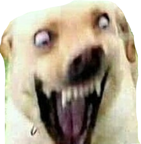 Dog Spicymeme Lit Doge Spooky Freetoedit - Cursed Dog Image Meme (492x504), Png Download