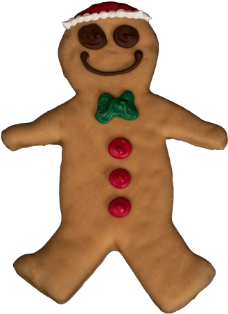 Homemade Dog Treats, Healthy Dog Treats - Cake (800x549), Png Download