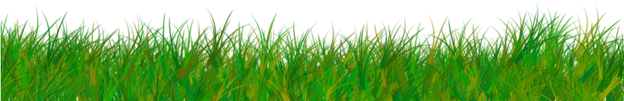 Cartoon Grass Png - Portable Network Graphics (900x900), Png Download