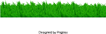 Grass, Grass, Green Grass, Green Png And Psd - Portable Network Graphics (360x360), Png Download