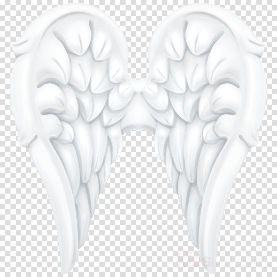 Angel Wings Png Clipart Clip Art - Whatsapp Logo Png (900x900), Png Download
