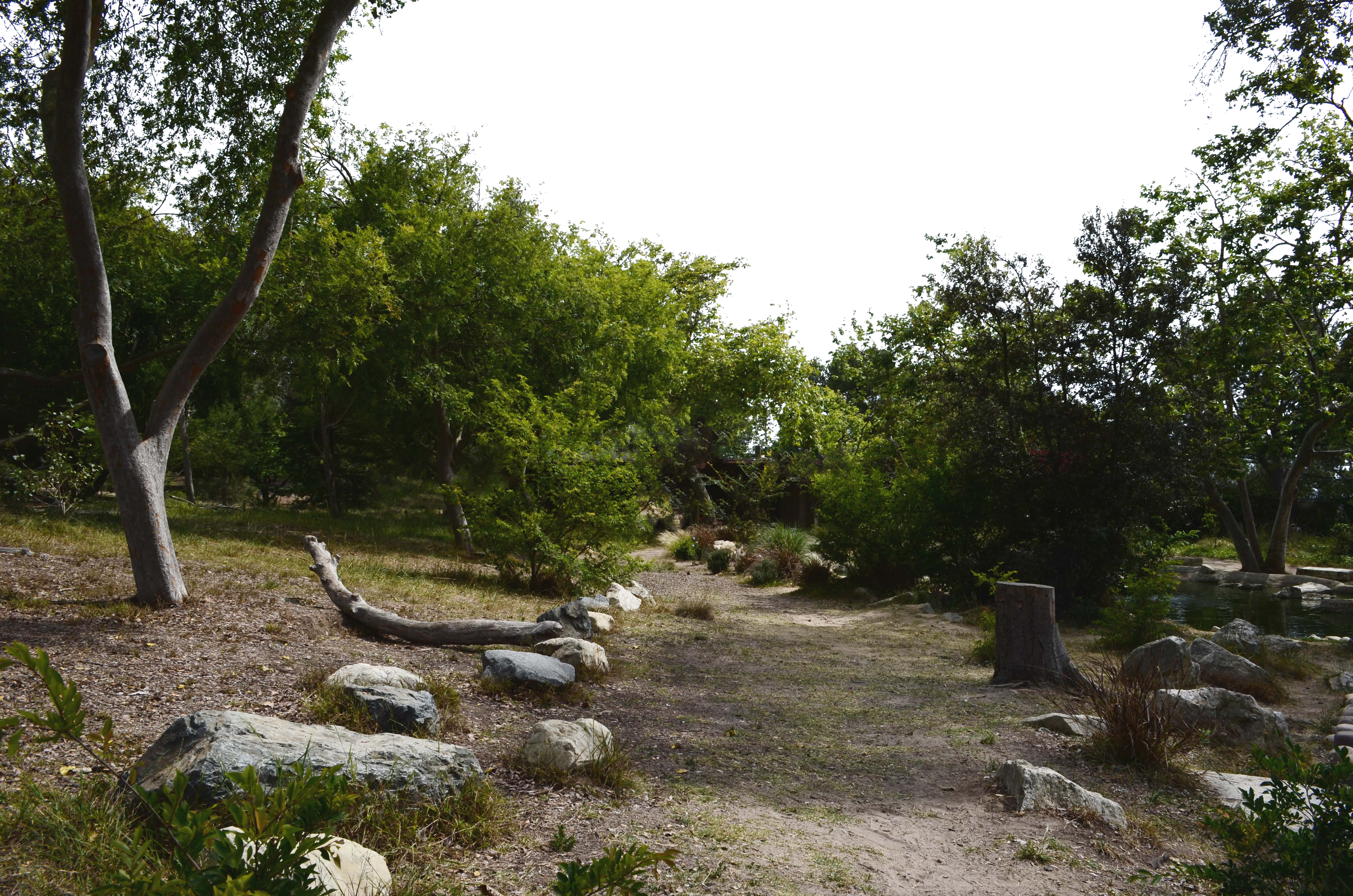 Stone Path Forest Png Background Stock 0317 By Annamae22 - Portable Network Graphics (3009x1993), Png Download