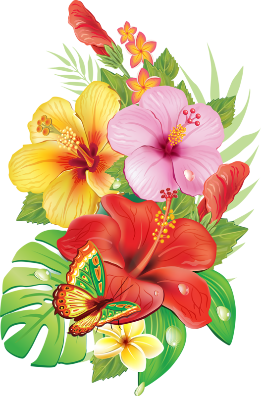 Exotic Flowers, Tropical Flowers, Tropical Flower Tattoos, - Flowers Sketch With Color (527x800), Png Download