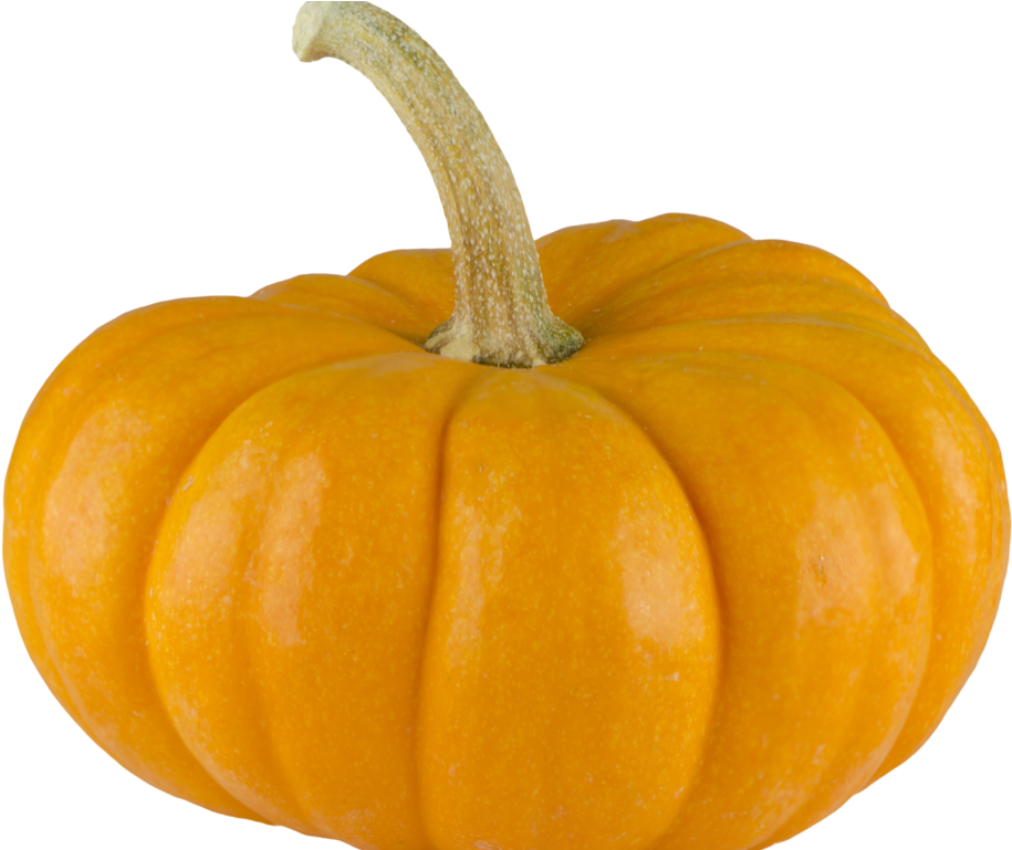 Pumpkin Png Image - Transparent Background Pumpkin Png (1024x768), Png Download
