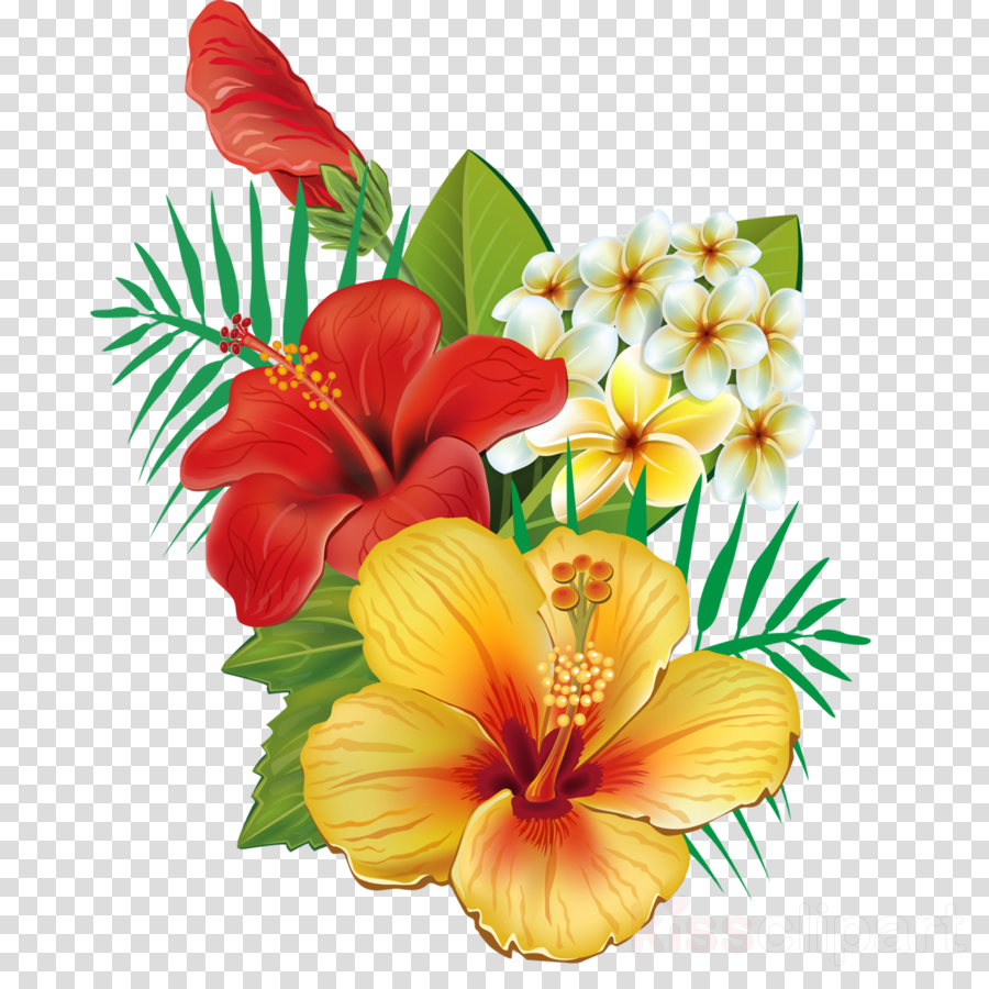 Download Flower Hawaii Png Clipart Hawaiian Hibiscus - Hibiscus Flowers (900x900), Png Download
