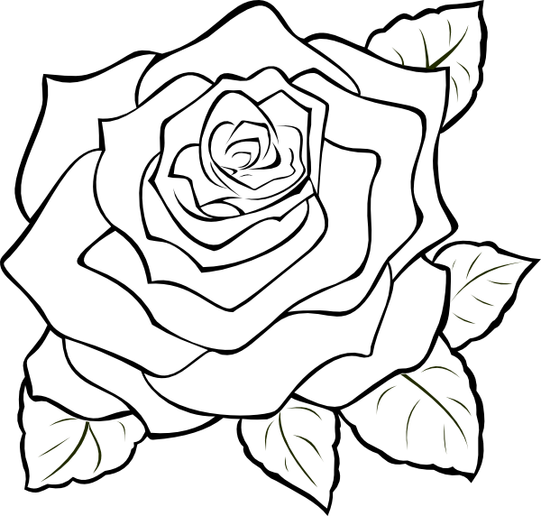 Png Rose Outline Transparent Rose Outline - Roses To Colour In And Print (400x381), Png Download