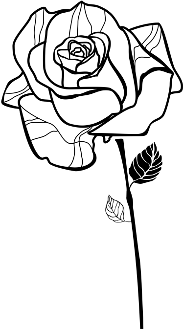 Rose Sketch Outline Decal - Outline Of Rose Transparent (374x673), Png Download