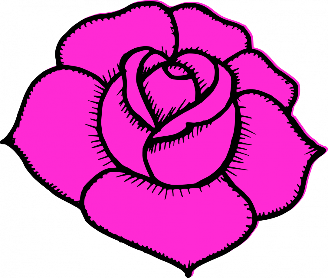 Large Size Of How To Draw A Simple Lotus Flower Step - Pink Flower Rose Drawing Clipart Svg (1084x920), Png Download