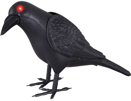 Halloween Crow Vector Free Download Transparent Png - Animated Crow (450x450), Png Download
