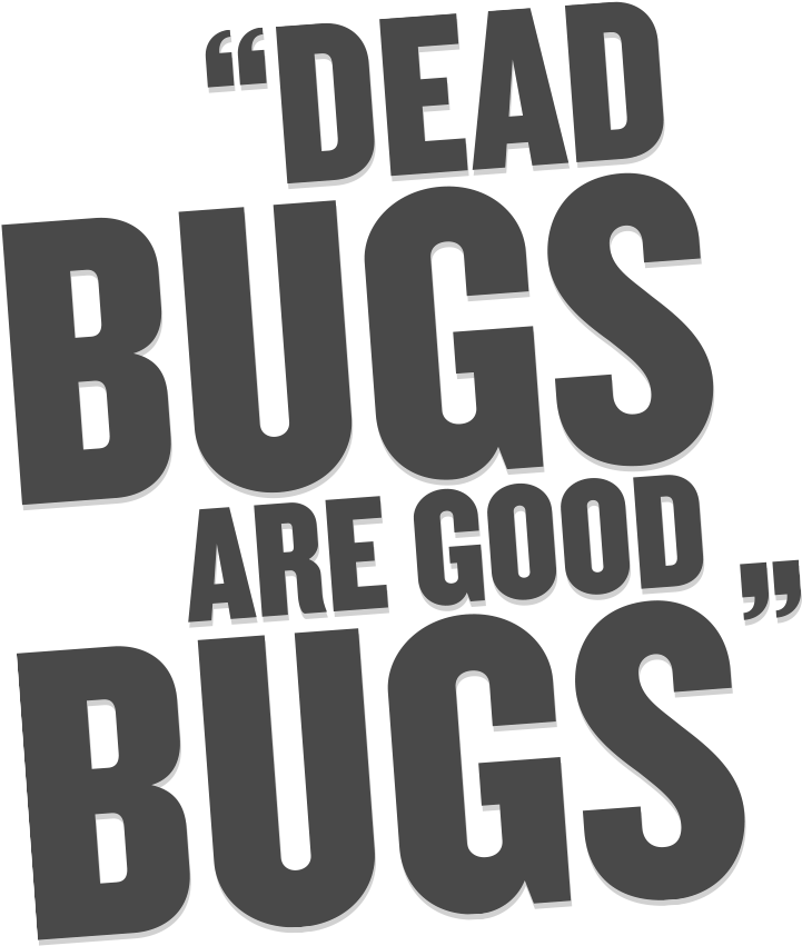 Dead Bugs Text - Quotes Bros Before Hoes (720x878), Png Download