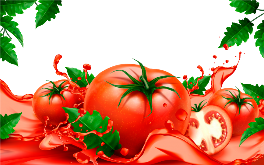 Tomato - Tomato Background Design (866x650), Png Download