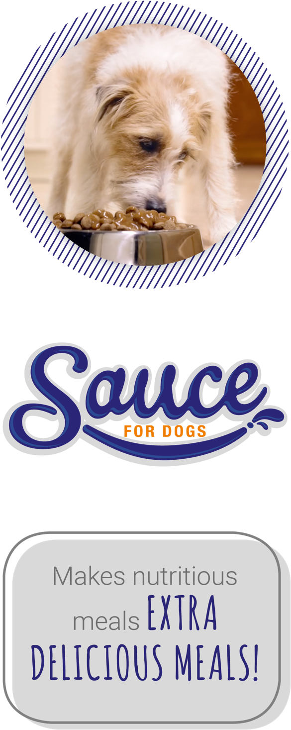 Montego Pet Nutrition - Montego - Sauce Plus Joint - 500ml (632x1495), Png Download