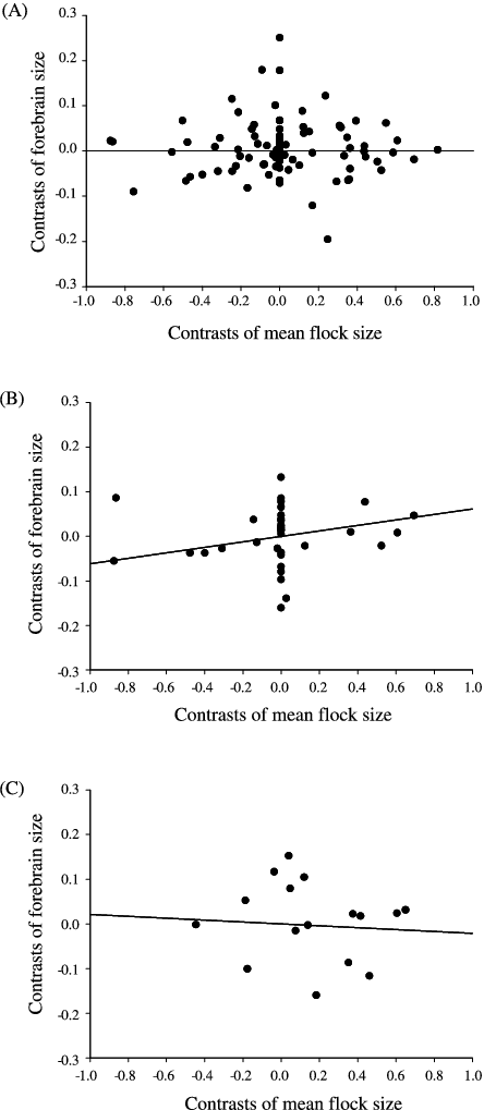 Relationship Between Forebrain Size And Mean Flock - Diagram (444x1019), Png Download