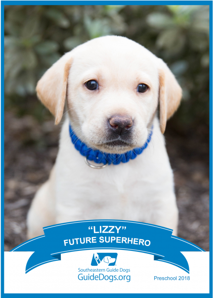 Support A Puppy - Southeastern Guide Dogs (600x600), Png Download