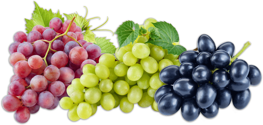 Image - D And L Wellness Telogent 端 粒 酶 (1024x465), Png Download