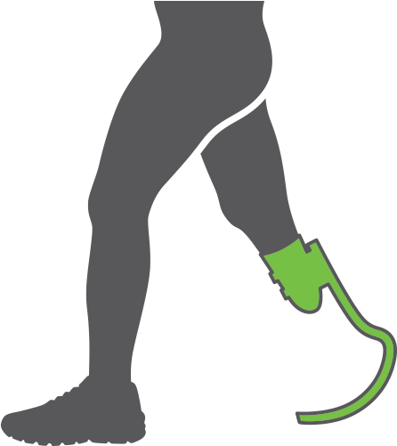 Prosthetic Clipart (500x500), Png Download