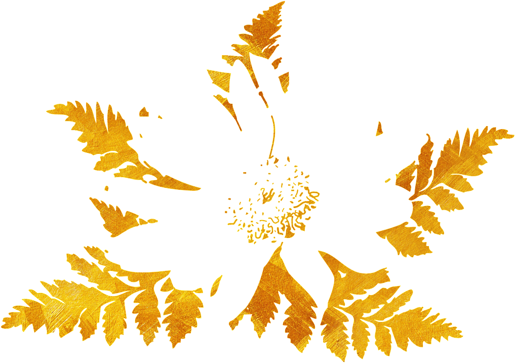 Pretty Maple Leaf Png - Patanjali Dant Kanti Junior Dantal Cream Toothpaste (1024x1024), Png Download