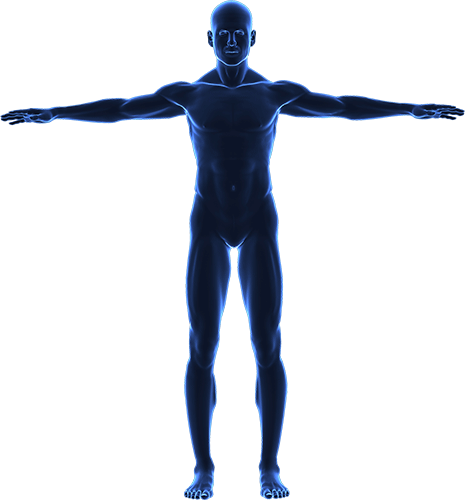 Arm Span Of A Person (465x500), Png Download