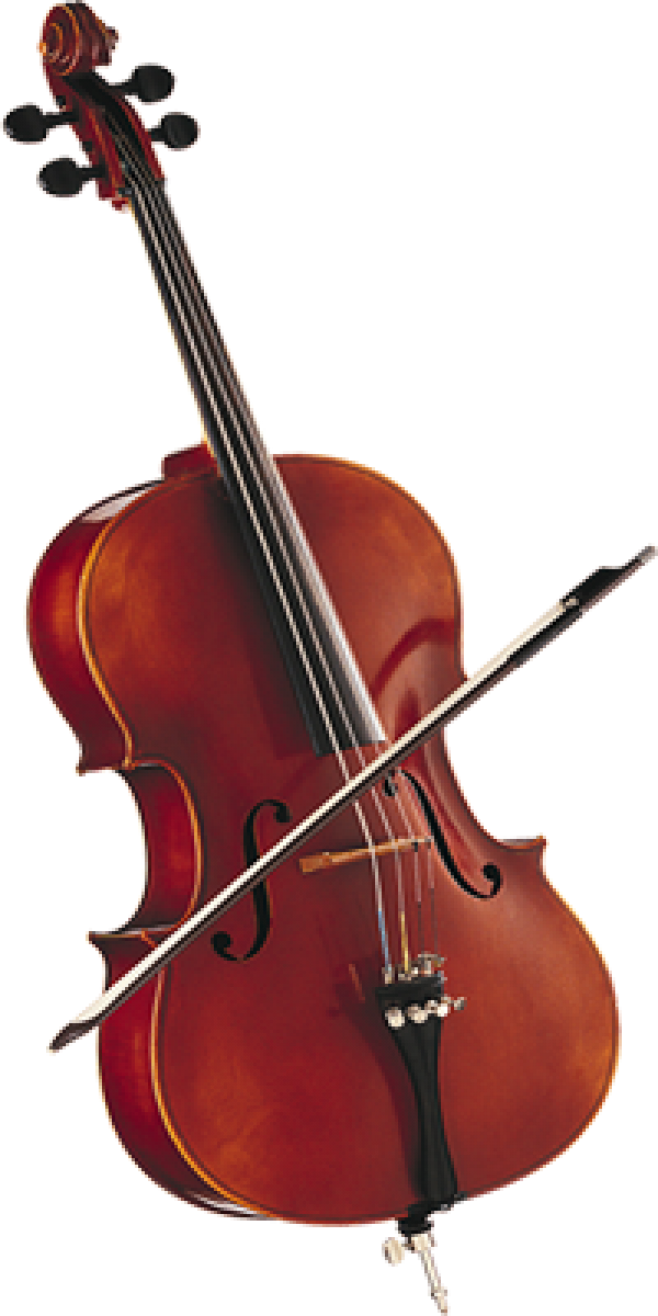 Violin Png Free Download - Violin (600x1200), Png Download