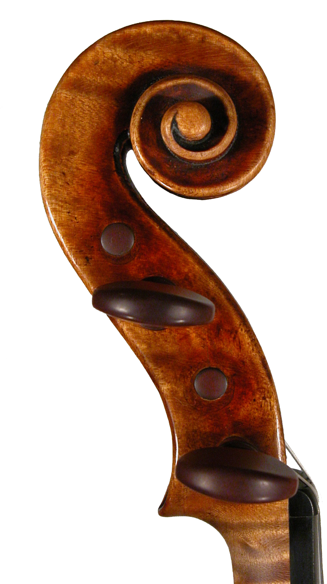 Picture Left Side Scroll Violin - Violin Scroll Png (1131x1902), Png Download