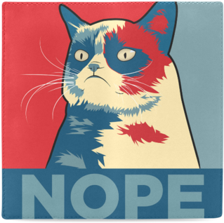 Grumpy Cat Nope Women's Cash Wallet - Nope Cat (480x480), Png Download