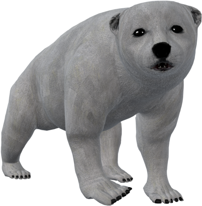 Bear Cub Png - Carnivores (885x903), Png Download