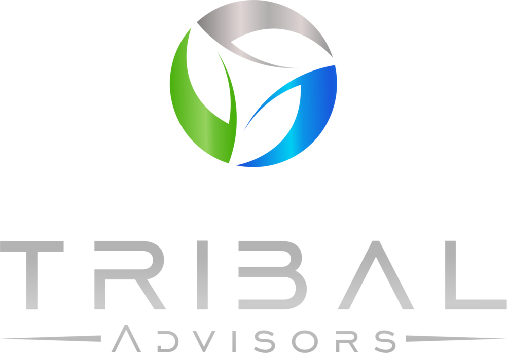 Tribal-advisors - Circle (1000x696), Png Download