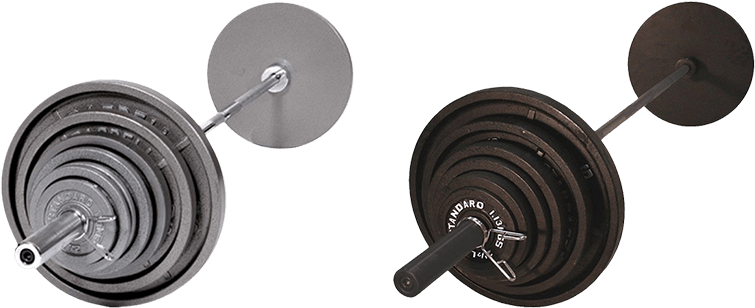 Quadcopter Reviews Best Barbells For Home Gyms - Troy Barbell Usa Sports Oss-300 Olympic 300lb. Weight (800x325), Png Download