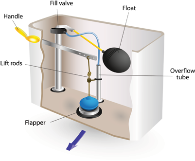 1 Understanding Toilet Diy Tip Indianapolis Indiana - Inside A Toilet (400x356), Png Download