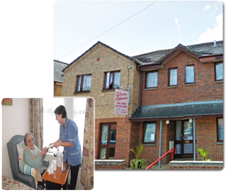 Cherry Blossom - Cherry Tree Care Home Isle Of Wight (470x440), Png Download