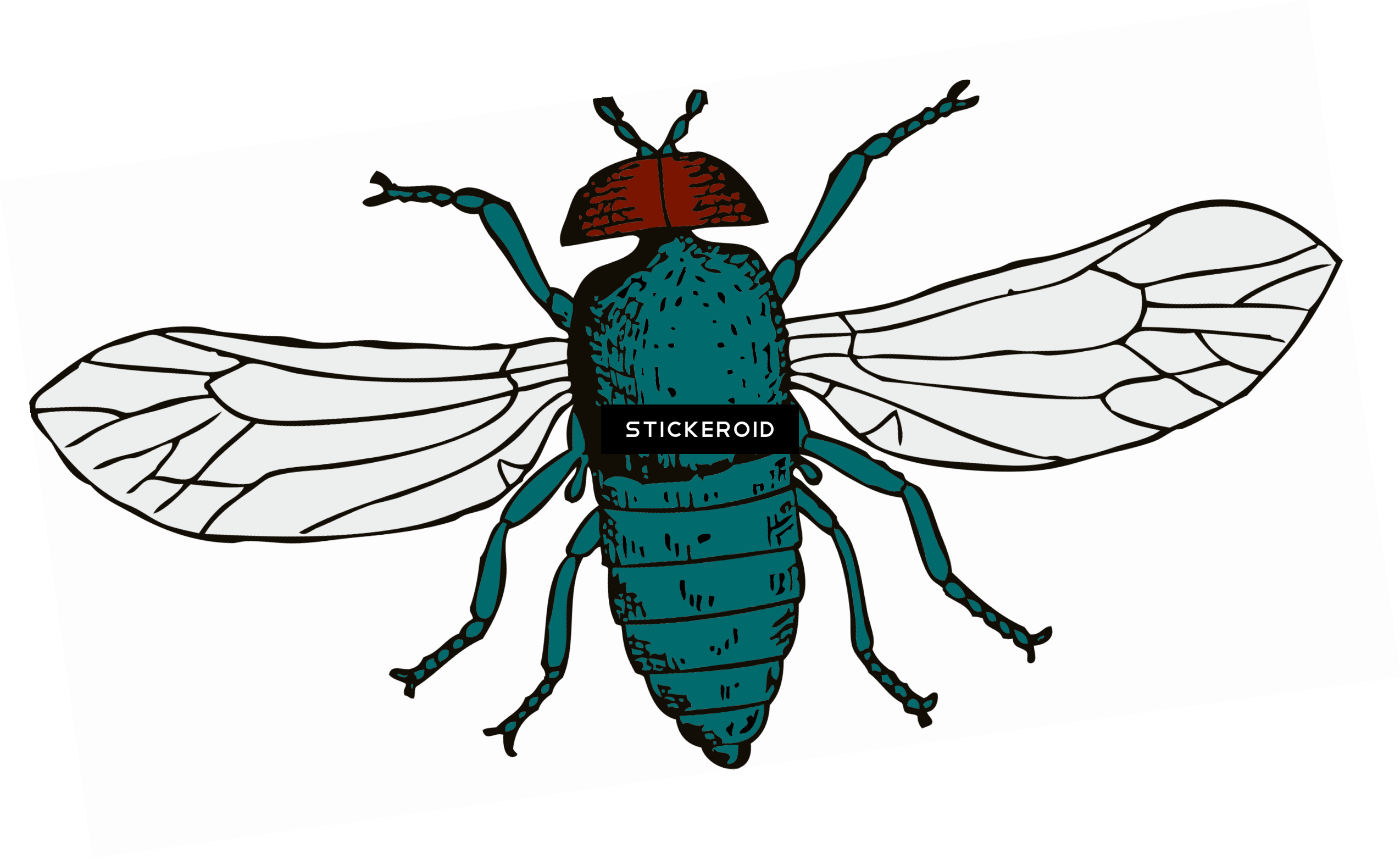 Fly - Cartoon Fly Shower Curtain (2548x1563), Png Download