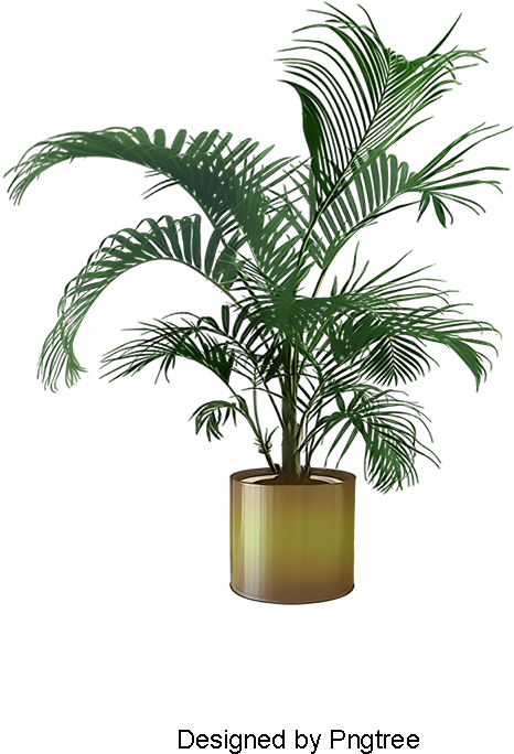 Indoor Plant Potted Plants, Plant Clipart, Plants Clipart, - Cornstalk Dracaena (800x800), Png Download