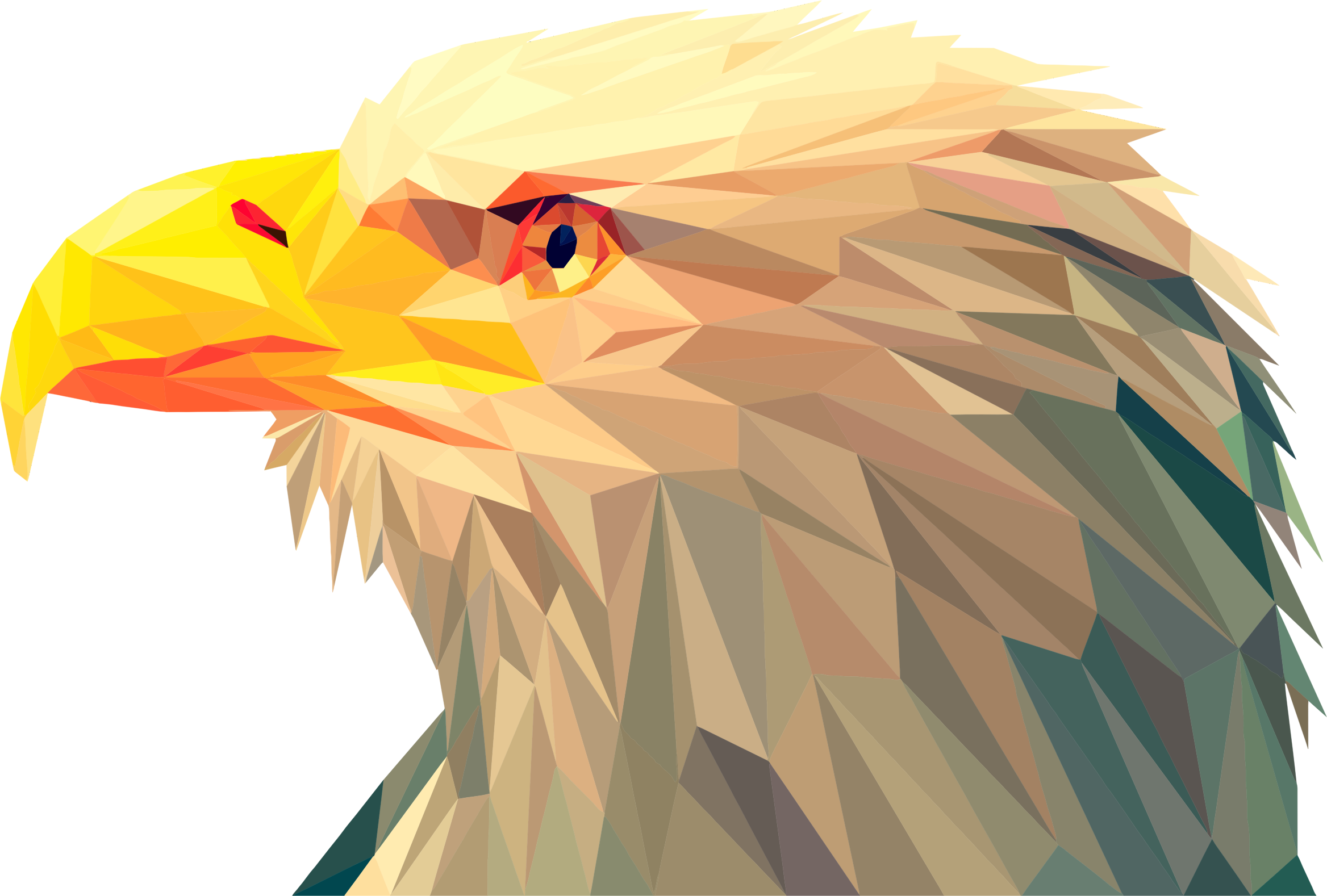 Big Image - Low Poly Eagle (2336x1578), Png Download