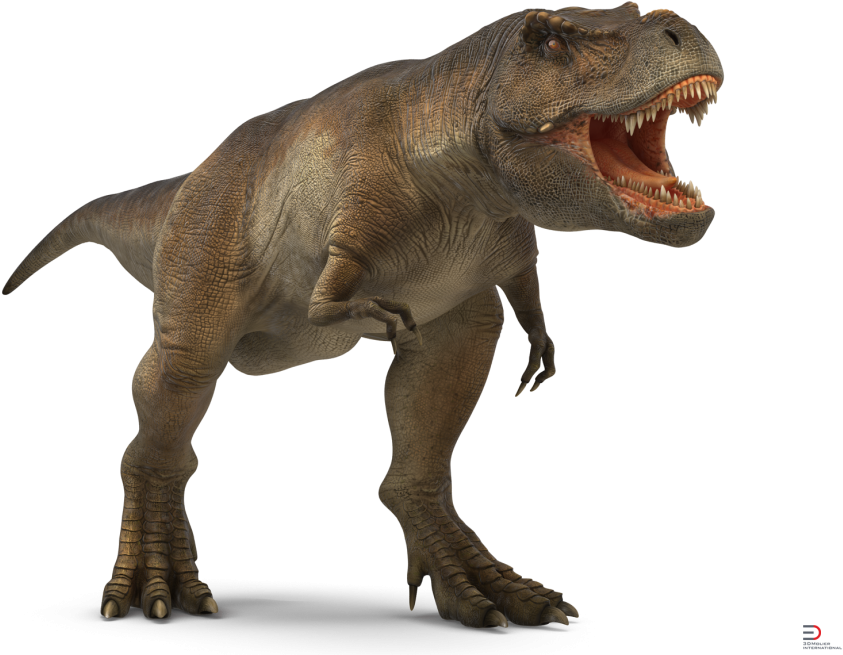 7 Tyrannosaurus Rex Walking Royalty-free 3d Model - 3d Computer Graphics (920x690), Png Download