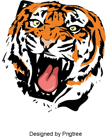 Open Mouth Of The Tiger, Tiger Clipart, Siberian Tiger, - Portable Network Graphics (800x800), Png Download