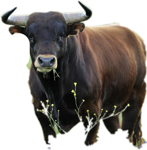 Did Someone Say Cake Birthday Card (480x491), Png Download