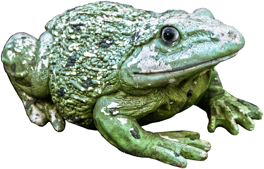 Frog, Green, Figure, Ceramic, Animal Figure, Decoration - Ceramic (960x640), Png Download