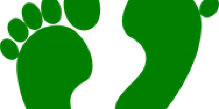 Baby Shower - Portable Network Graphics (736x368), Png Download