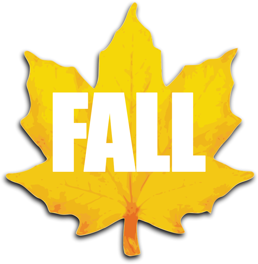 Fall - Yellow Autumn Leaves Clipart (1024x1024), Png Download